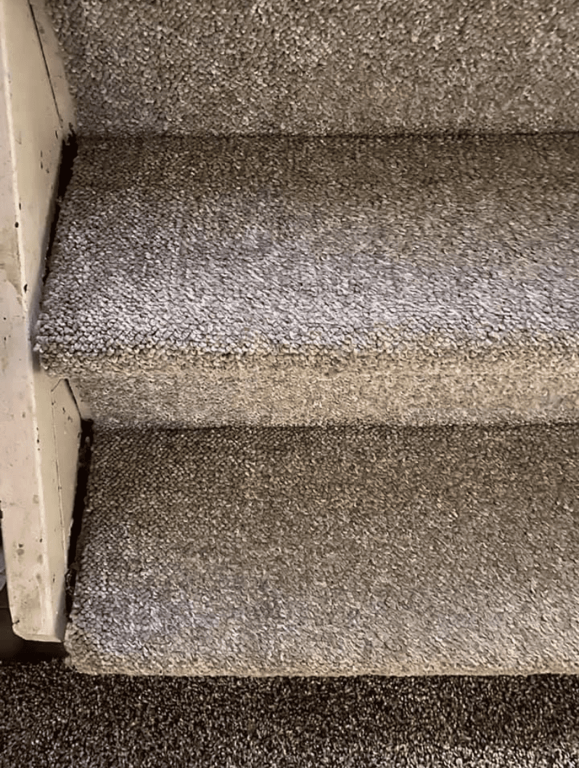 carpet after